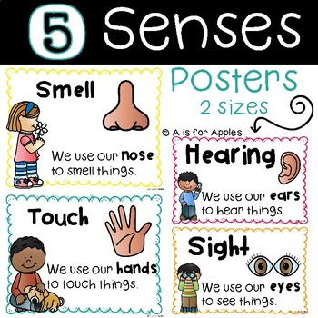 5 senses clipart poster