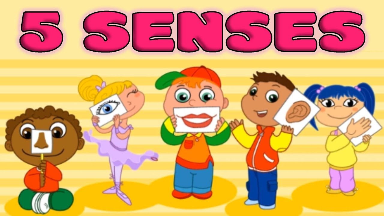 5 senses clipart preschool
