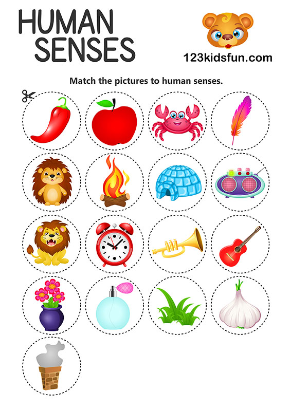 Human body printables homeschooling. 5 senses clipart preschool