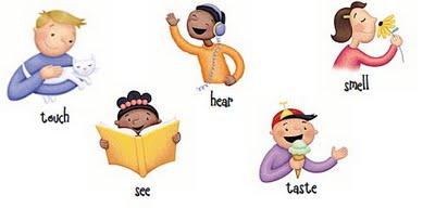 5 senses clipart preschool. Free download clip art