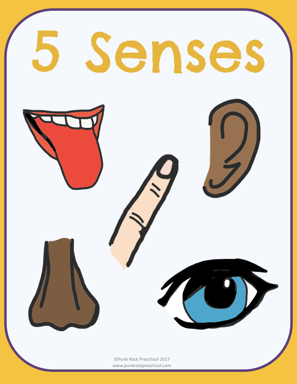 5 senses clipart preschool. Five lesson plans punk