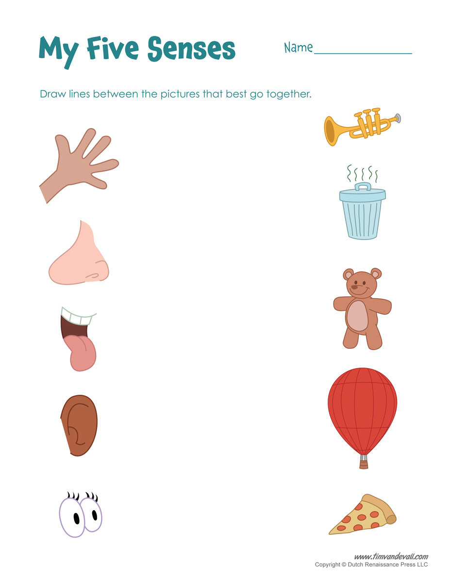 5 Senses Clipart Printable 5 Senses Printable Transparent FREE For 