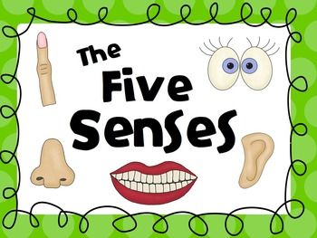 5 senses clipart science. Five unit rhyming words