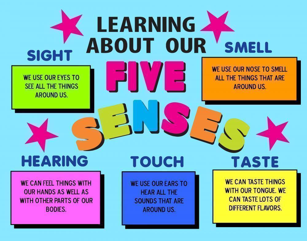 5 senses clipart science. Make a fair project