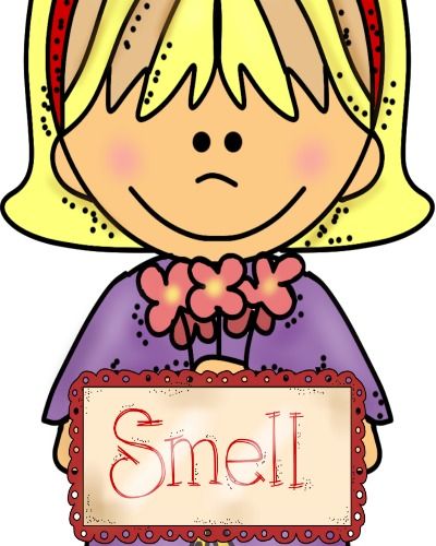 The of smell activity. 5 senses clipart sense