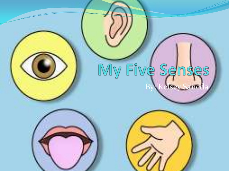 5 senses clipart sense. Myfivesenses phpapp thumbnail jpg
