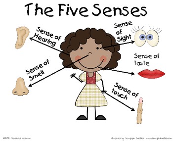 5 senses clipart sense. The five poster by