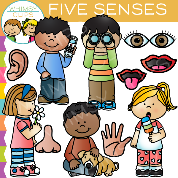  five clipartlook. 5 senses clipart sense