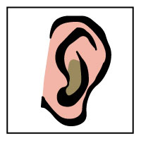 5 senses clipart sense hearing