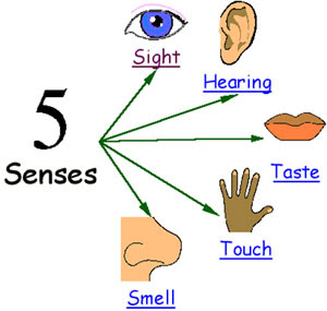 5 senses sensory detail