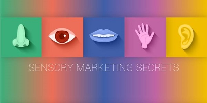 5 senses clipart sensory marketing
