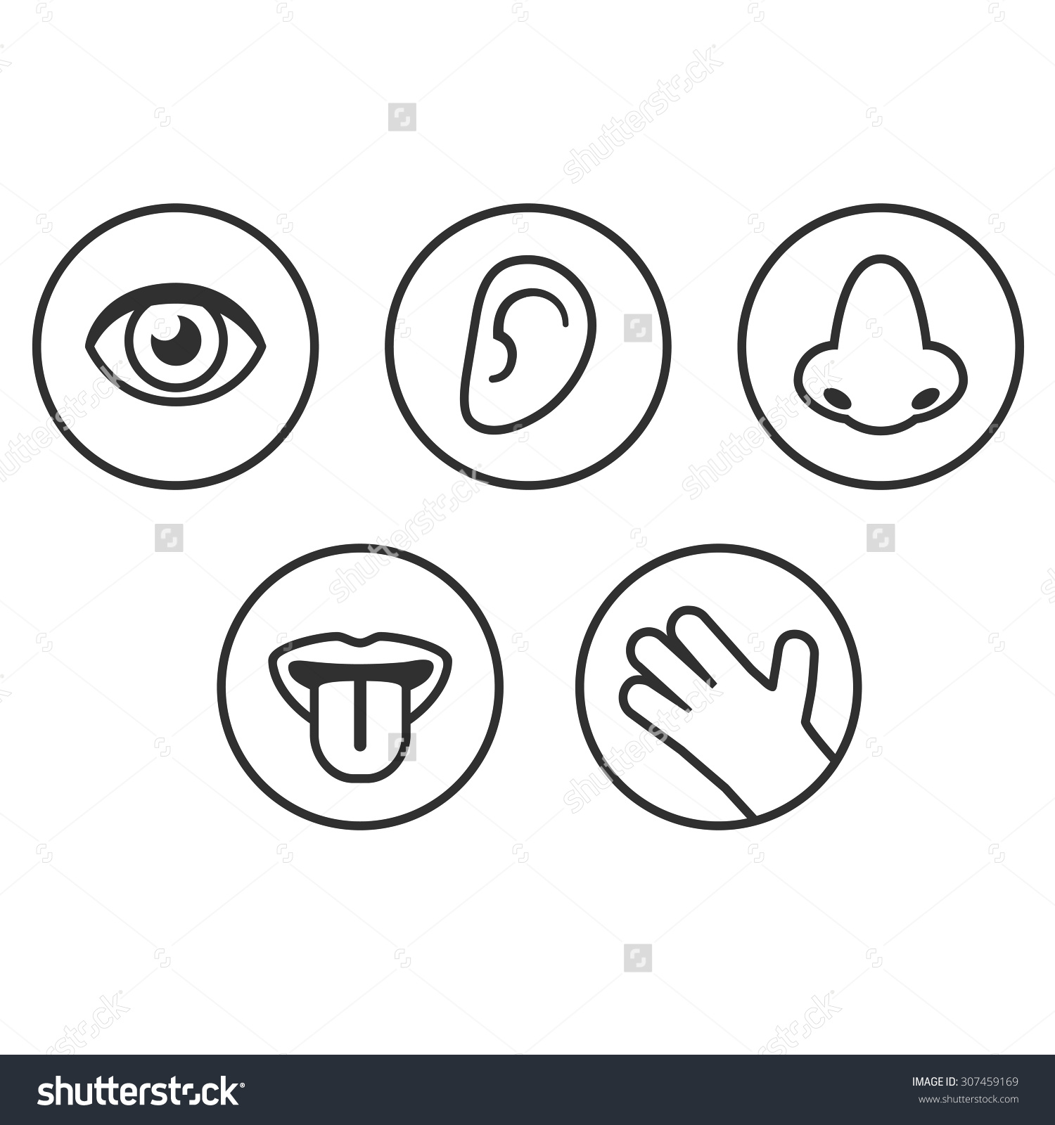  five clip art. 5 senses clipart symbol