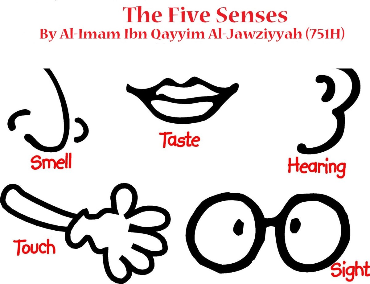 5 senses clipart symbol. The five by imam