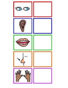 5 senses clipart symbol