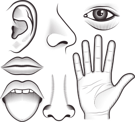 5 senses clipart symbol.  collection of sense