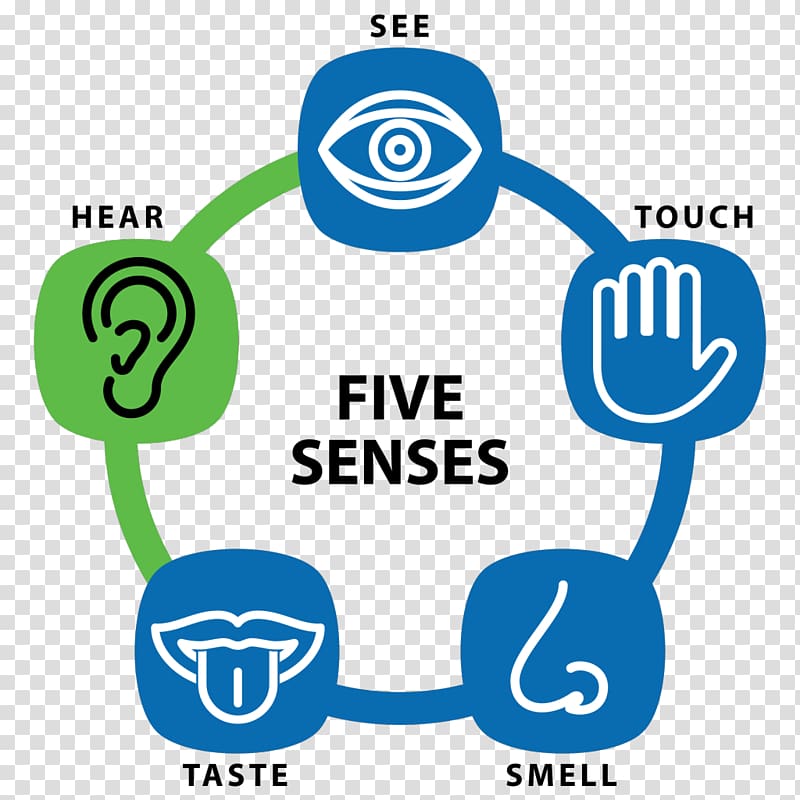 5 senses clipart symbol. Sense sensory nervous system