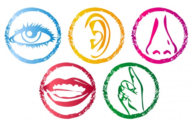 5 senses clipart symbol.  five clip art