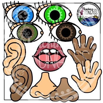 5 senses clipart teaching. Five 