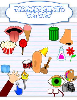 5 senses clipart teaching