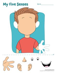 5 senses clipart teaching