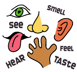 5 senses clipart transparent. Five free download best