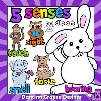 5 senses clipart value