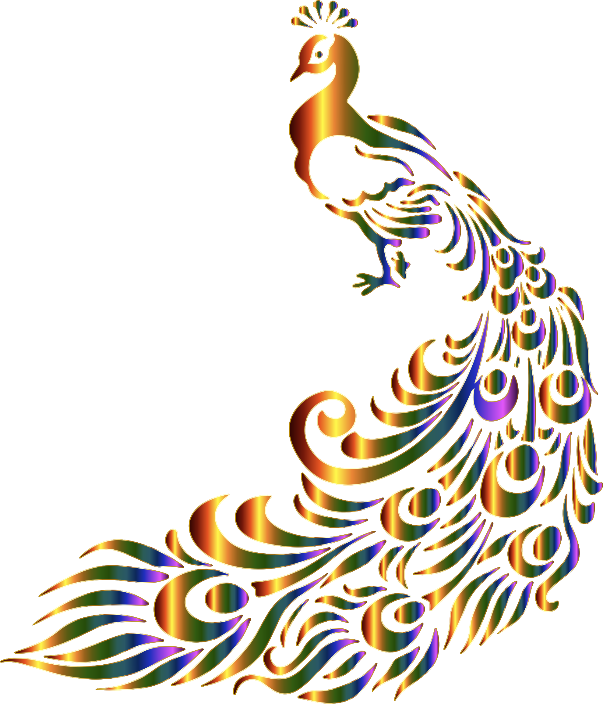 Png images background. Clipart chromatic peacock no