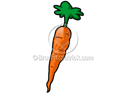 7 clipart carrot