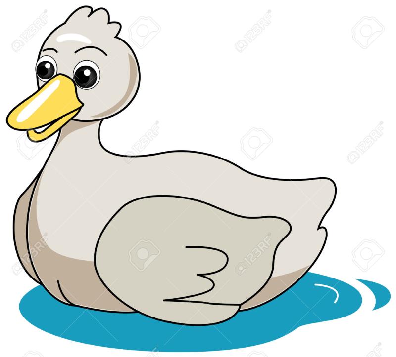 7 clipart duck