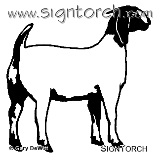 Club show goats home. 7 clipart goat