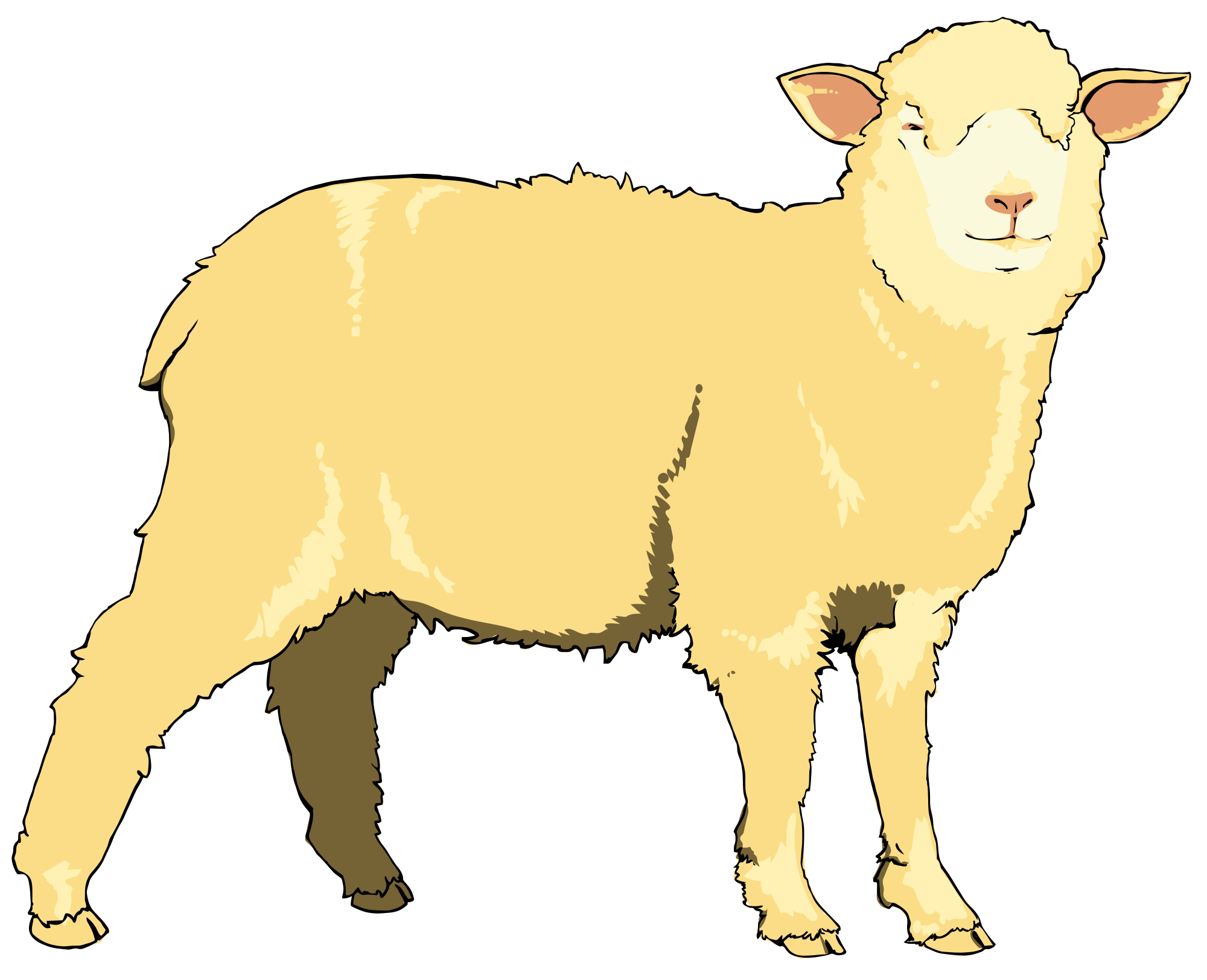 Lamb Clipart Realistic Picture 1504157 Lamb Clipart Realistic