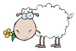 And illustration clip art. 7 clipart sheep