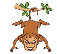 A clipart monkey. Hanging from tree drawing