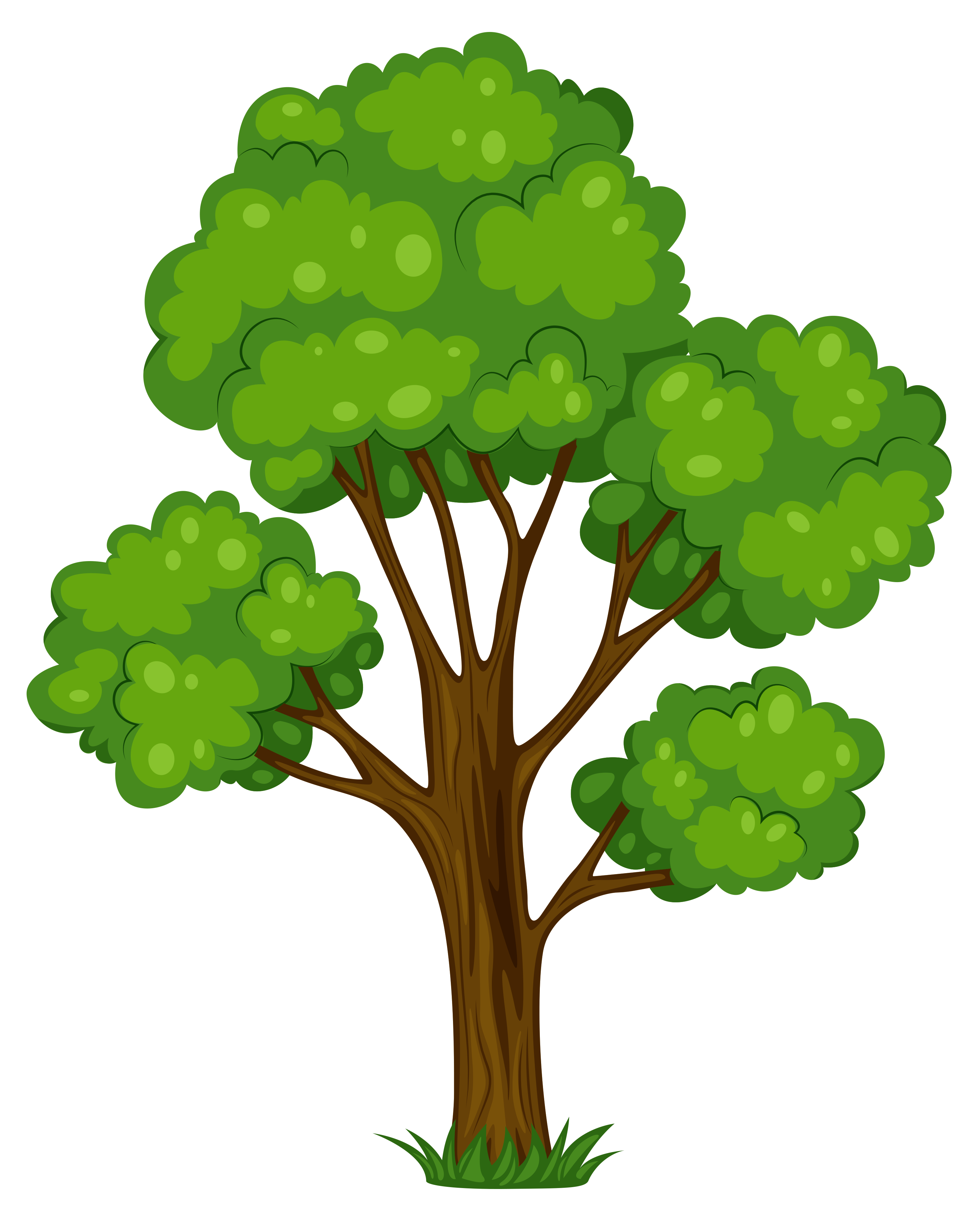 Painted green png picture. Life clipart cartoon tree
