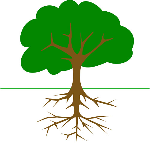 A clipart tree. Free oak trees images
