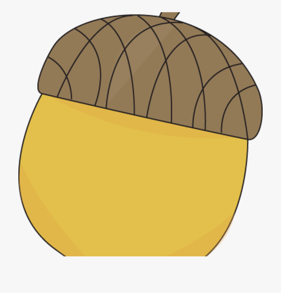 acorn clipart accorn