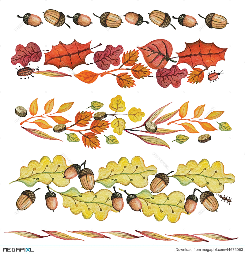 acorn clipart banner