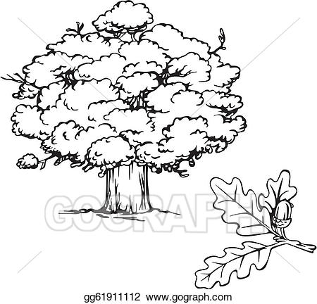 Acorn clipart branch. Vector art oak tree