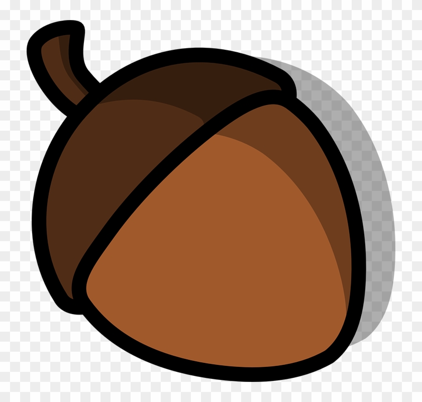 acorn clipart brown