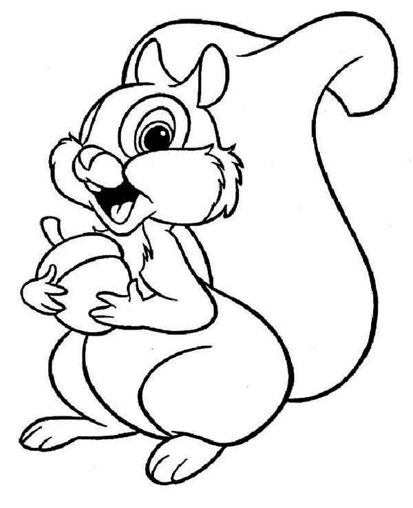 Acorn line drawing at. Clipart squirrel color