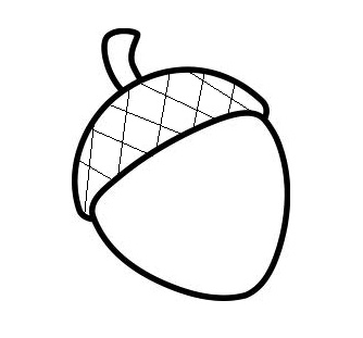 acorn clipart drawn