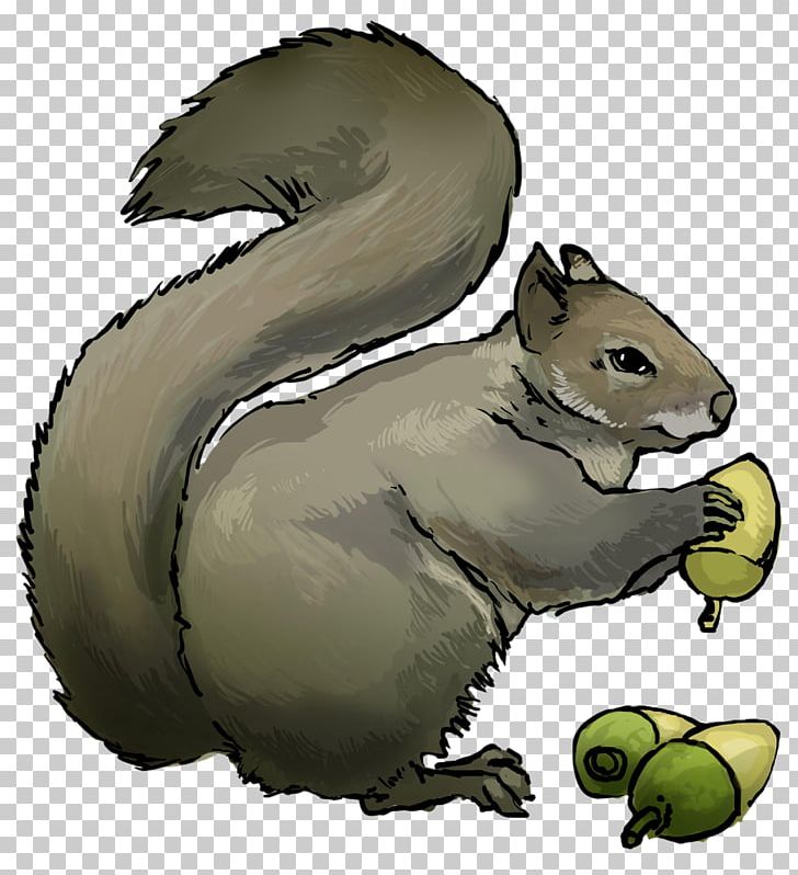 Chipmunk clipart acorn. Eastern gray squirrel rodent