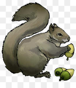 Eastern raccoon chipmunk illustration. Acorn clipart gray squirrel
