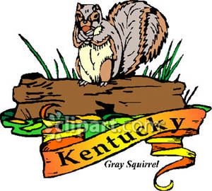 Kentucky state animal the. Acorn clipart gray squirrel