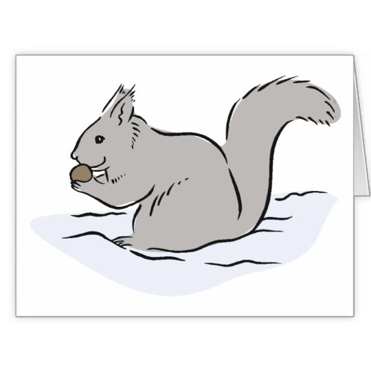 Acorn clipart gray squirrel. Eating a nut cartoon