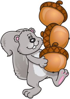 Acorn clipart gray squirrel.  collection of with