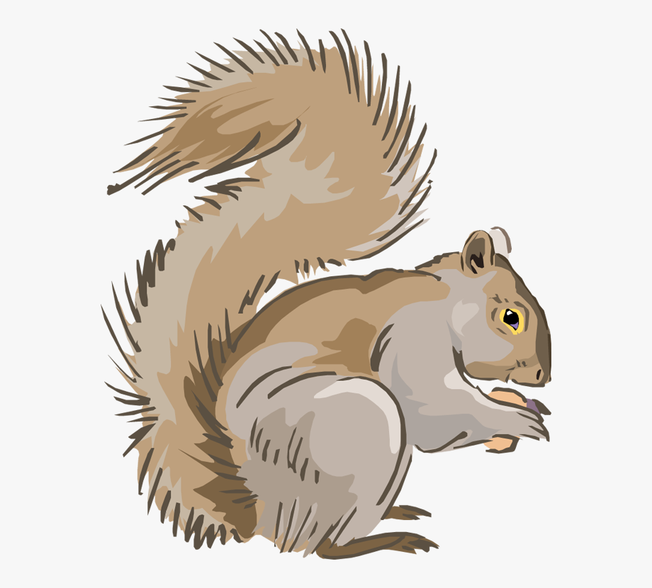 With his mouth full. Acorn clipart gray squirrel