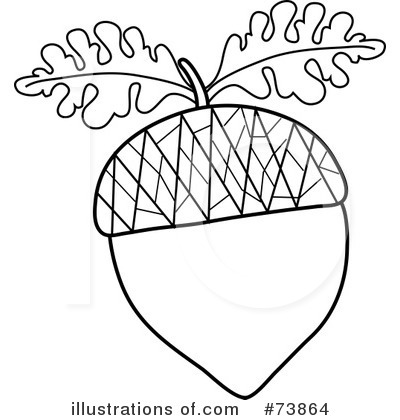 Acorn clipart line drawing. Acorns at getdrawings com