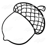 Acorn clipart line drawing. Free download best on