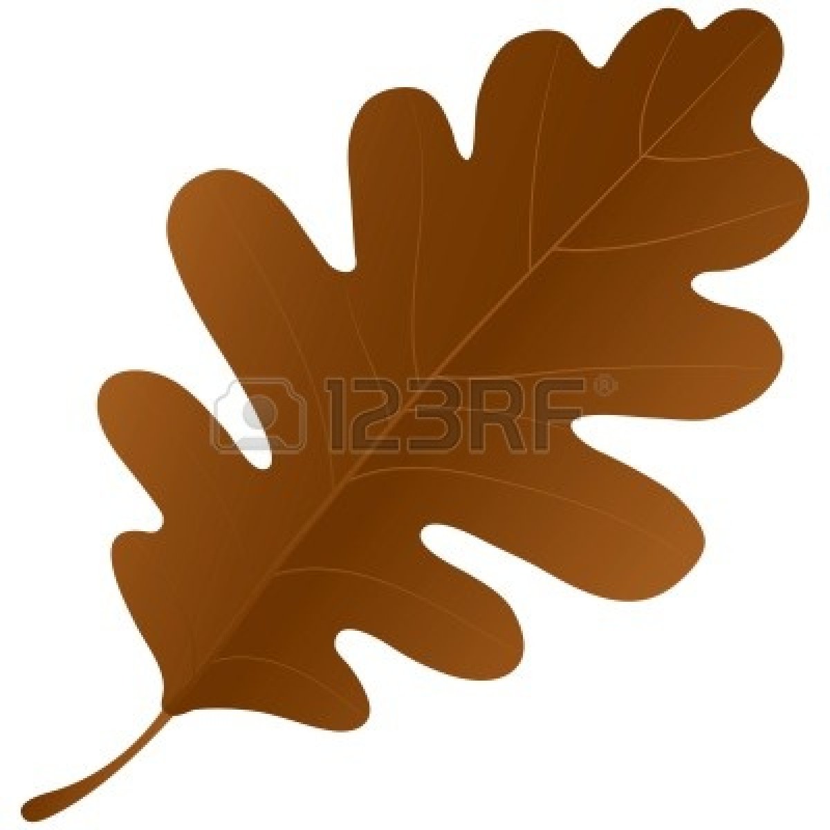 acorn clipart oak leaf